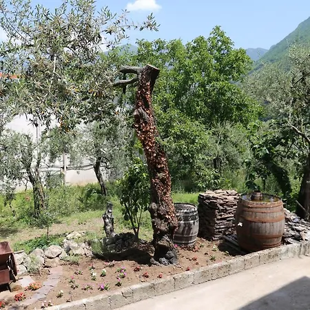 Bed & Breakfast Il Giardino *