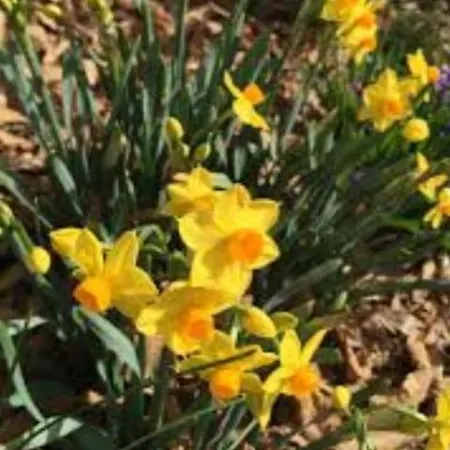 Il Giardino Bed & Breakfast