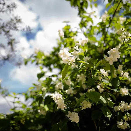 Il Giardino Bed & Breakfast *