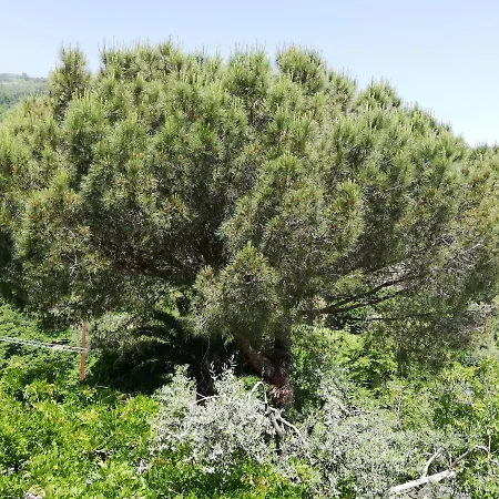 Il Giardino * Pimonte