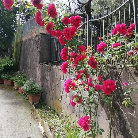 Il Giardino Couette-café